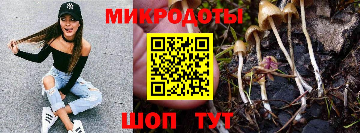 Псилоцибиновые грибы MAGIC MUSHROOMS Котовск